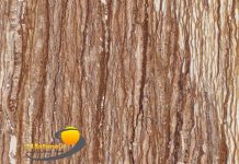 أحجار الترافرتين