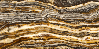 تراونیکس کارمانیا