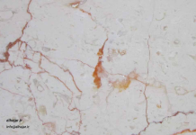 حجر الصلصالي الحجر الصلصالي